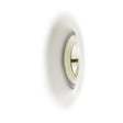 DINGO R