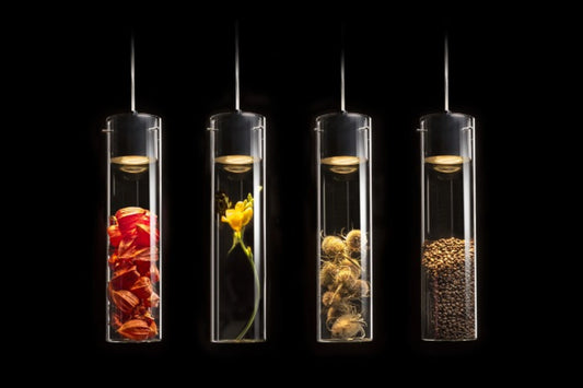 3-Circuit-Track-Systems-For-Galleries-Hotels-Offices-Rendl.com Rendl Light Studio