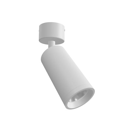 BELENOS PLAFONDLAMP