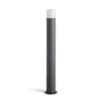 BONNIE BOLLARD
