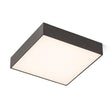 LARISA SQ 30 3CCT